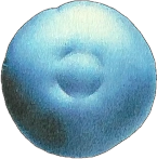 EV1 driver airbag