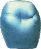 EV1 passenger airbag
