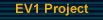 The EV1 Project